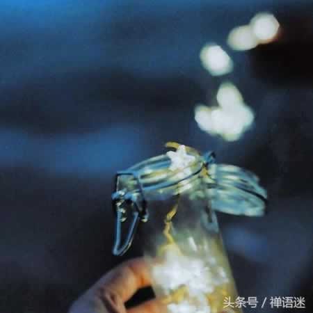 ڵĵľӺͼƬ