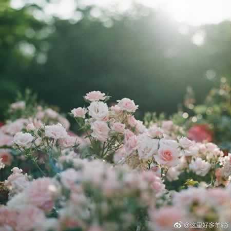 回家开心的短句子说说心情短语 一句话表达回家开心的心情