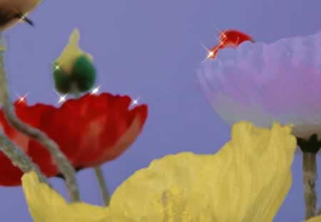 õ簲Ψ