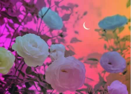һ仰ĵİ˵˵