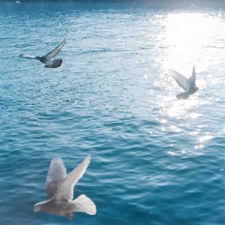 Ϻܿĵľ Ϻܿĵ