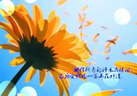 ͸ʵľ Ϭ͸ ˼