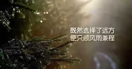 经典有内涵的句子