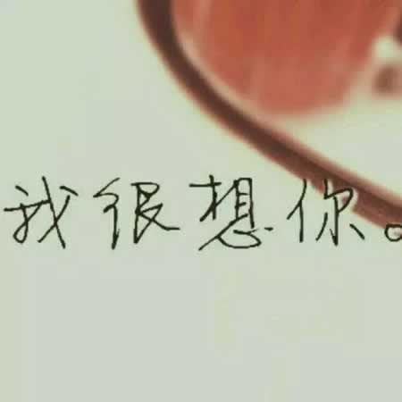 无关于爱情的句子