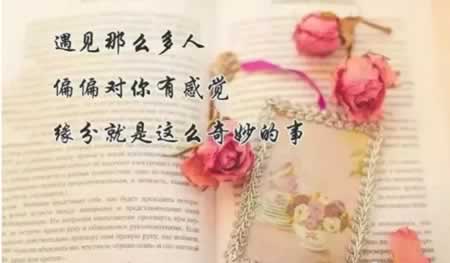 2021最精辟最火的句子.