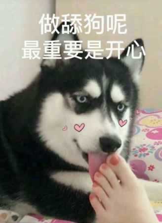 我不想在做舔狗了 反击文案