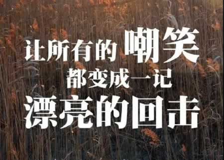 早安正能量的一句话