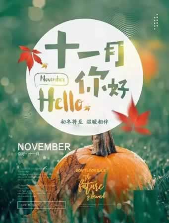 十一月你好的句子