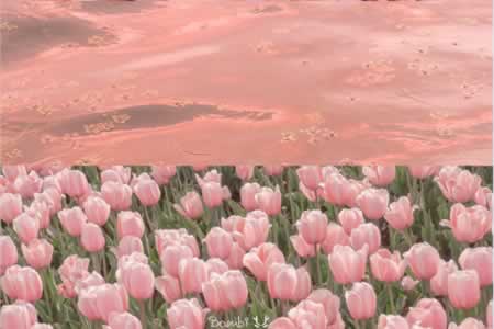 һľ