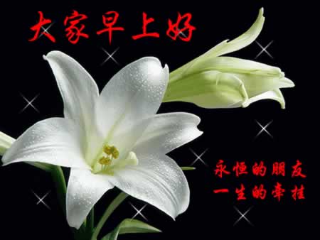 最能打动人心的早安问候