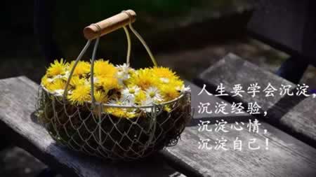 阳光简短励志的唯美句子