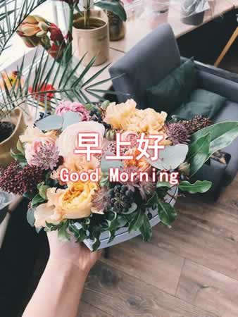清晨问候语