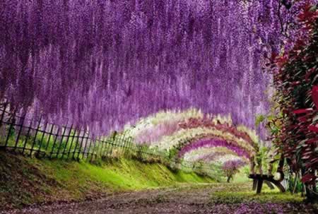 ڿһľ