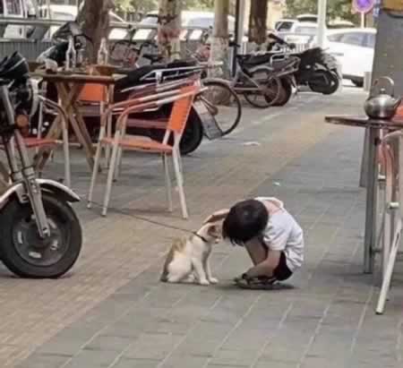 ɾĶ̾