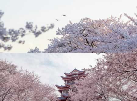 描写开心快乐的句子