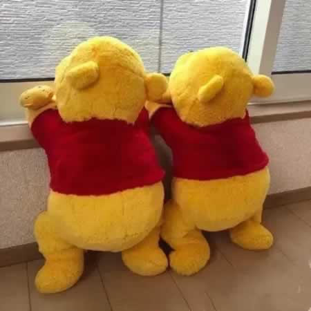 领证发朋友圈搞笑句子