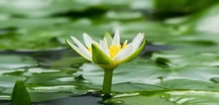 һںڵľ