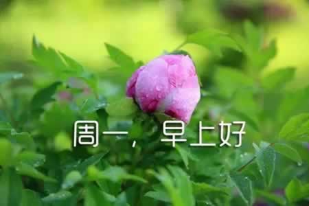 µһܿʼ ־