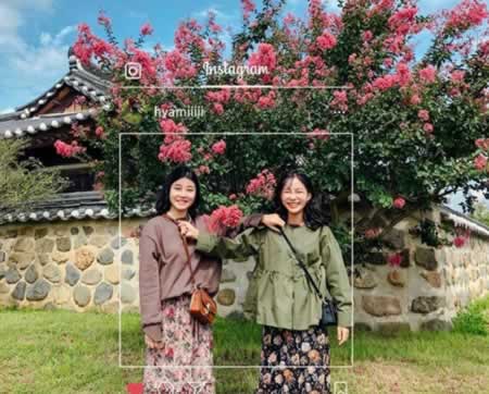 쿪ĵ˵˵
