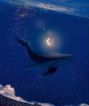 ҹԼ˵˵