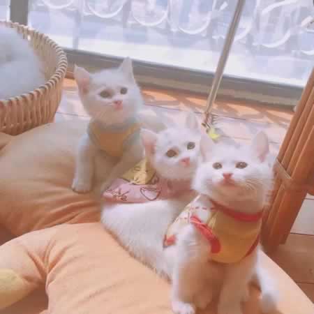 三观很正的宝藏文案