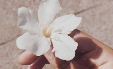 ů