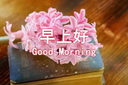 一天一句心情早安语