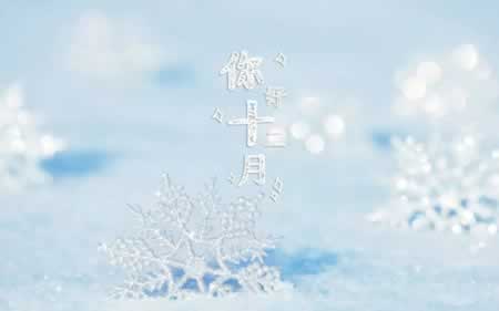十一月再见十二月你好的句子