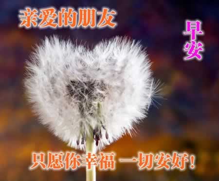 簲ȦůĵĻ