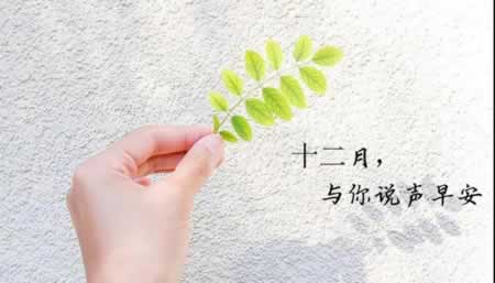 十二月文案图片