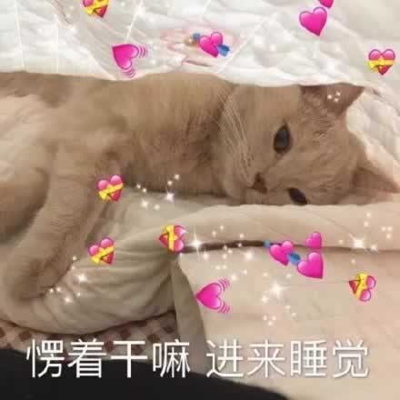 虎狼之词文案合集
