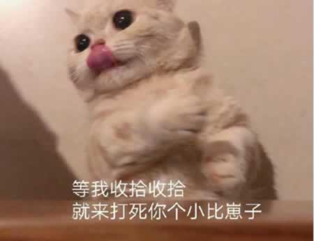 ձдĴʫ ת