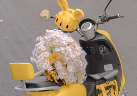 50ʺдڿƬƬϵС̾
