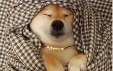 µȦ˵˵