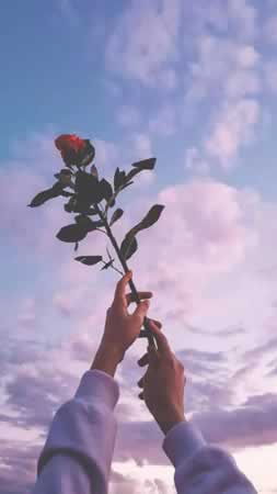 ķĸЦ