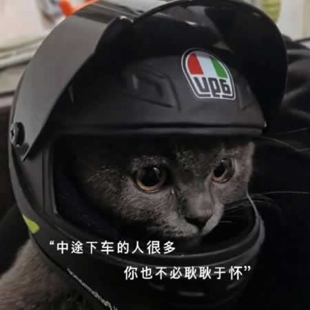 һ˵˸о