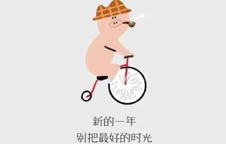 新的一年 新的开始
