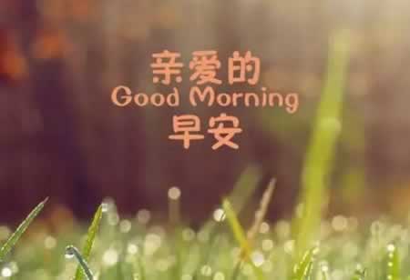 ʺϷȦ簲