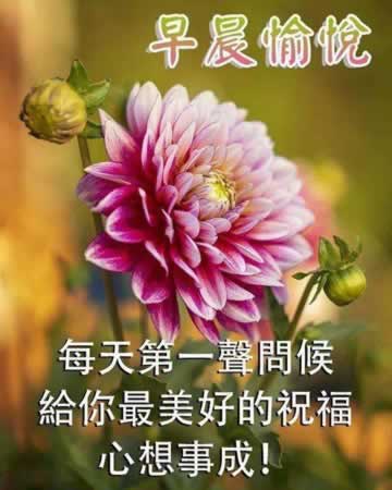 早上好短语问候短信