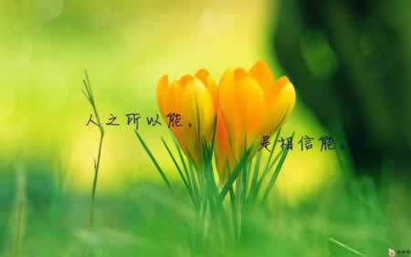 二月十二号问候短信