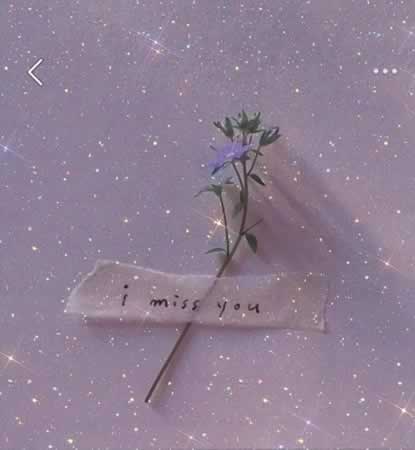 一眼惊艳的小众文案
