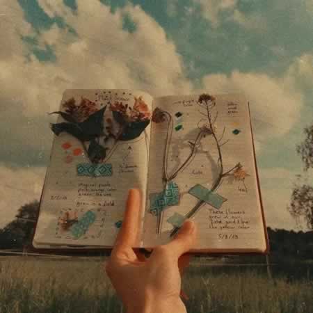 ε˵˵