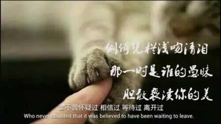 闺蜜间的友情的句子英语