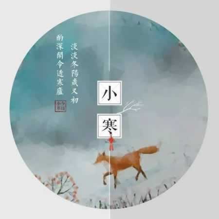 关于小寒的文案