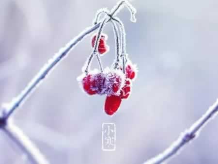 小寒节气文案