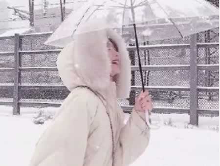 抖音最美下雪文案
