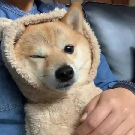 ʾ̾