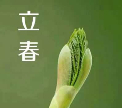 适合立春发的朋友圈图片