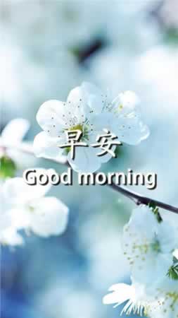 早安2021最美图片