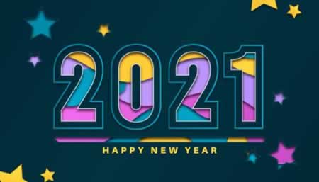 2021˾Ŷӿں